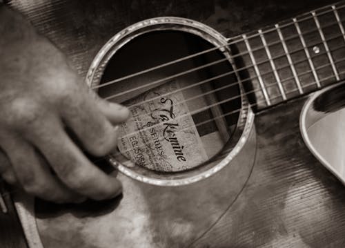 Guitarist Hand in Close-up View