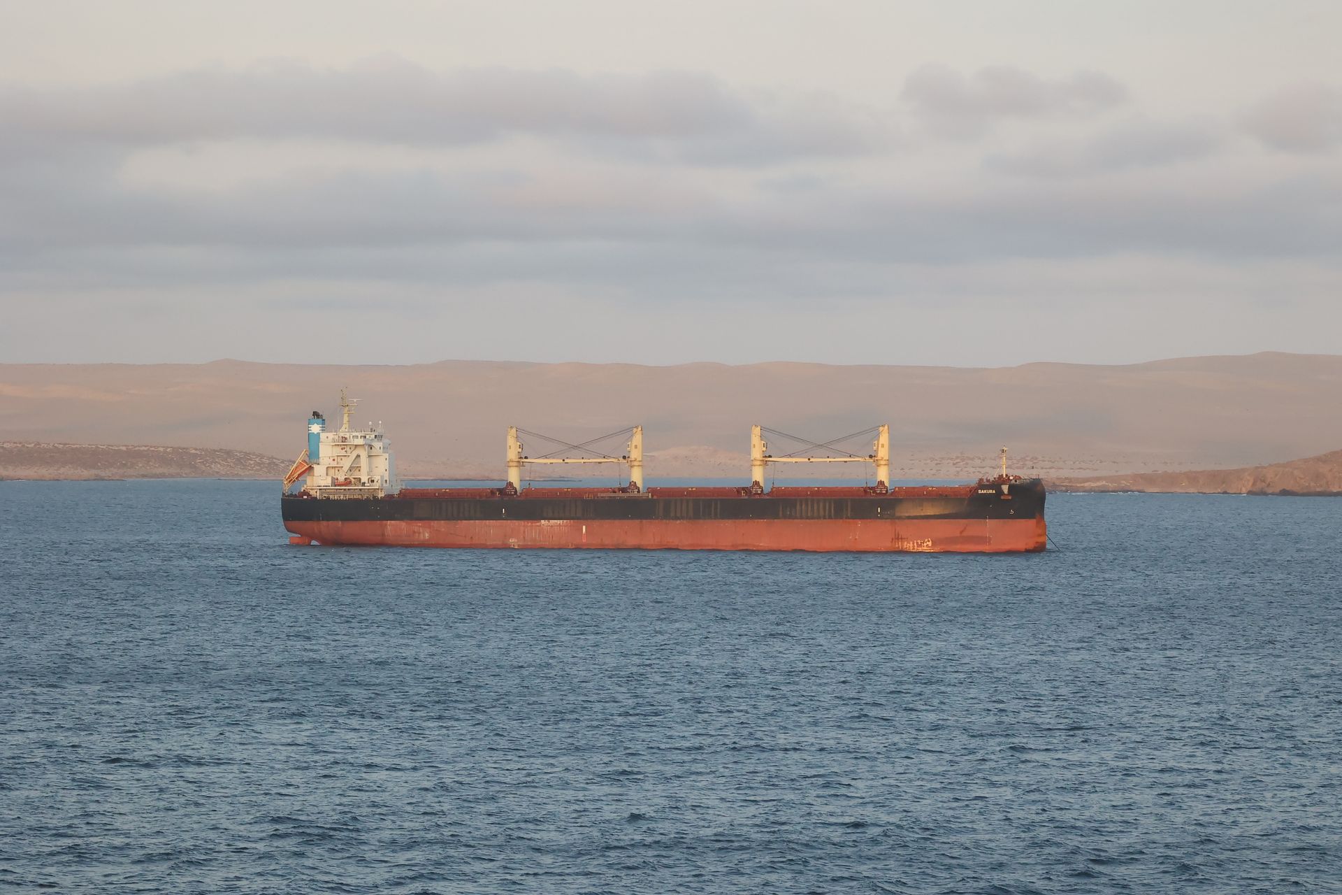 Container ship sailing near coastline
