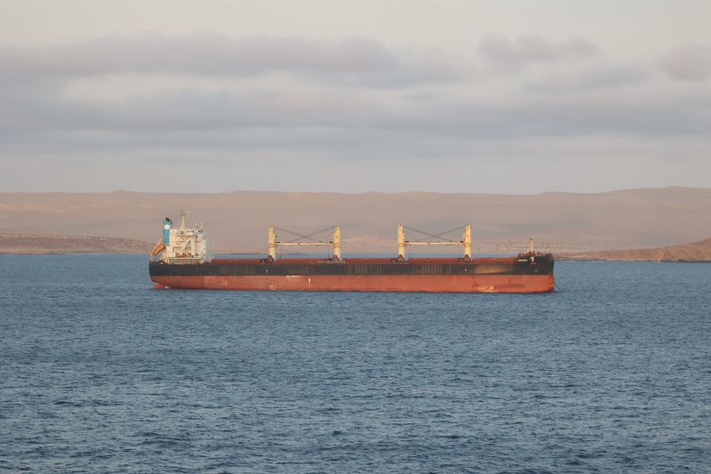 Container ship sailing near coastline