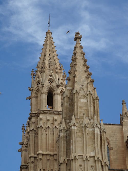 Free Cathedral in Palma de Mallorca Stock Photo