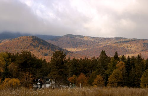 House by Forest in Autumn