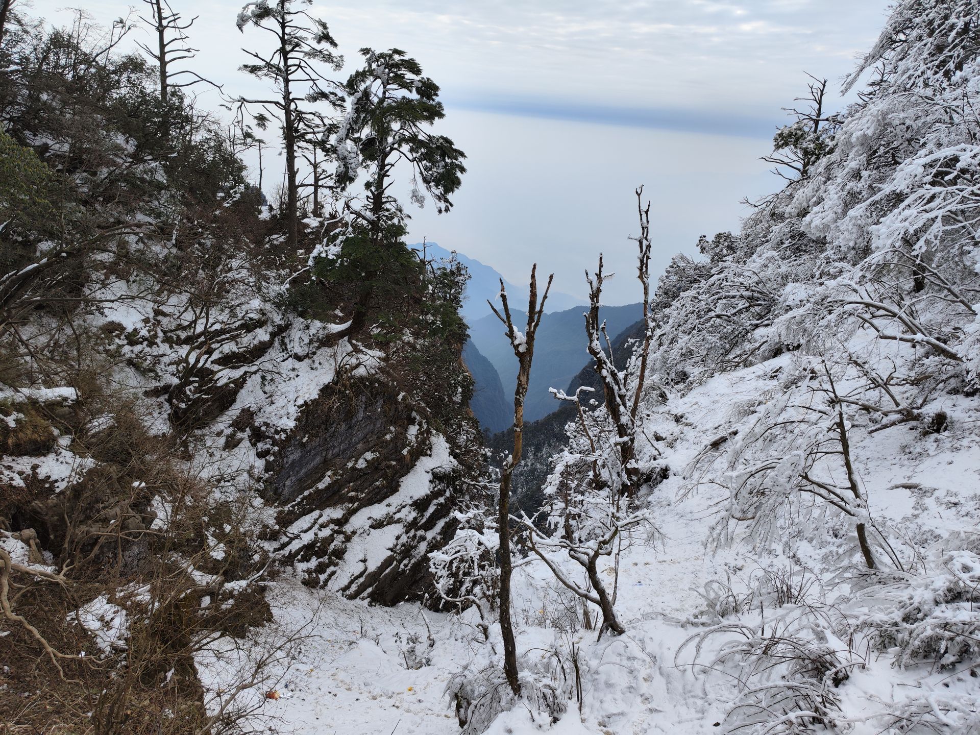 A scenic winter landscape featuring snow-covered trees and mountains under a cloudy sky.