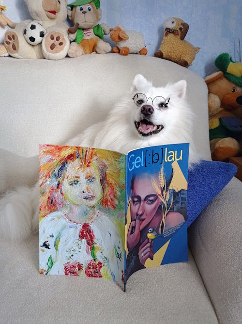 Japanese Spitz SIMBA reading about him in the magazine