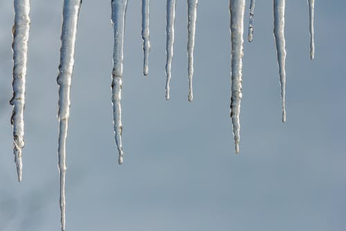 Hanging Icicles in Winter