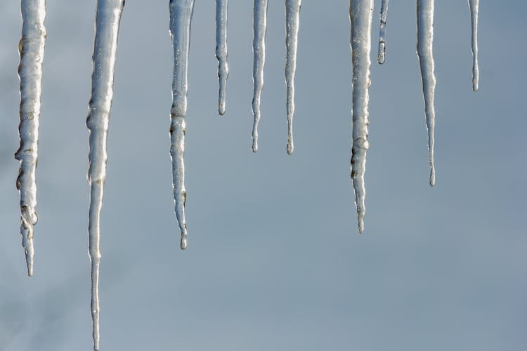 Hanging Icicles In Winter