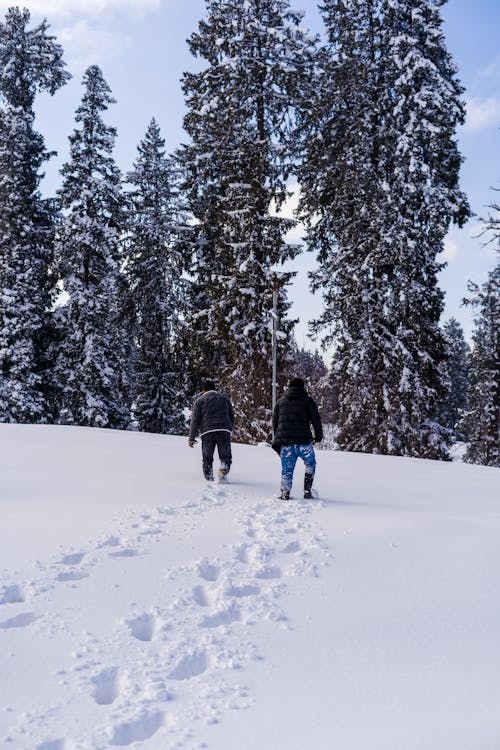 Two People Walking in Snow 