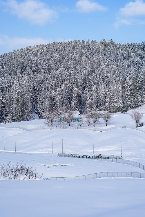 Základová fotografie zdarma na téma farma, idylický, kopec