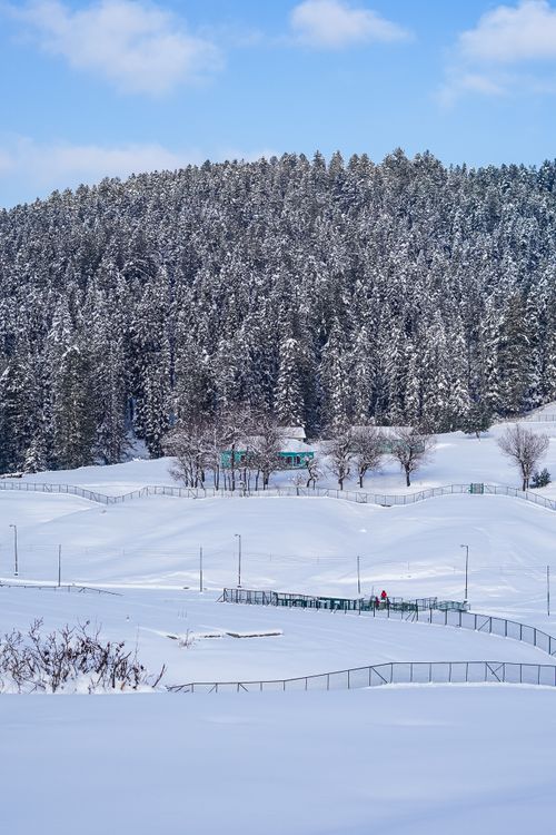 Free Serene snowy winter scene featuring a forested hill and clear blue sky. Stock Photo
