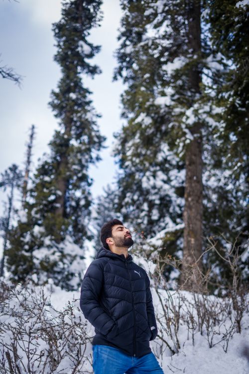 Free Adult man in a puffer jacket enjoys peaceful moment in snowy Yousmarg forest. Stock Photo