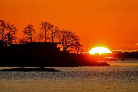 Silhouette of trees and coastline against a vibrant sunset over calm waters.