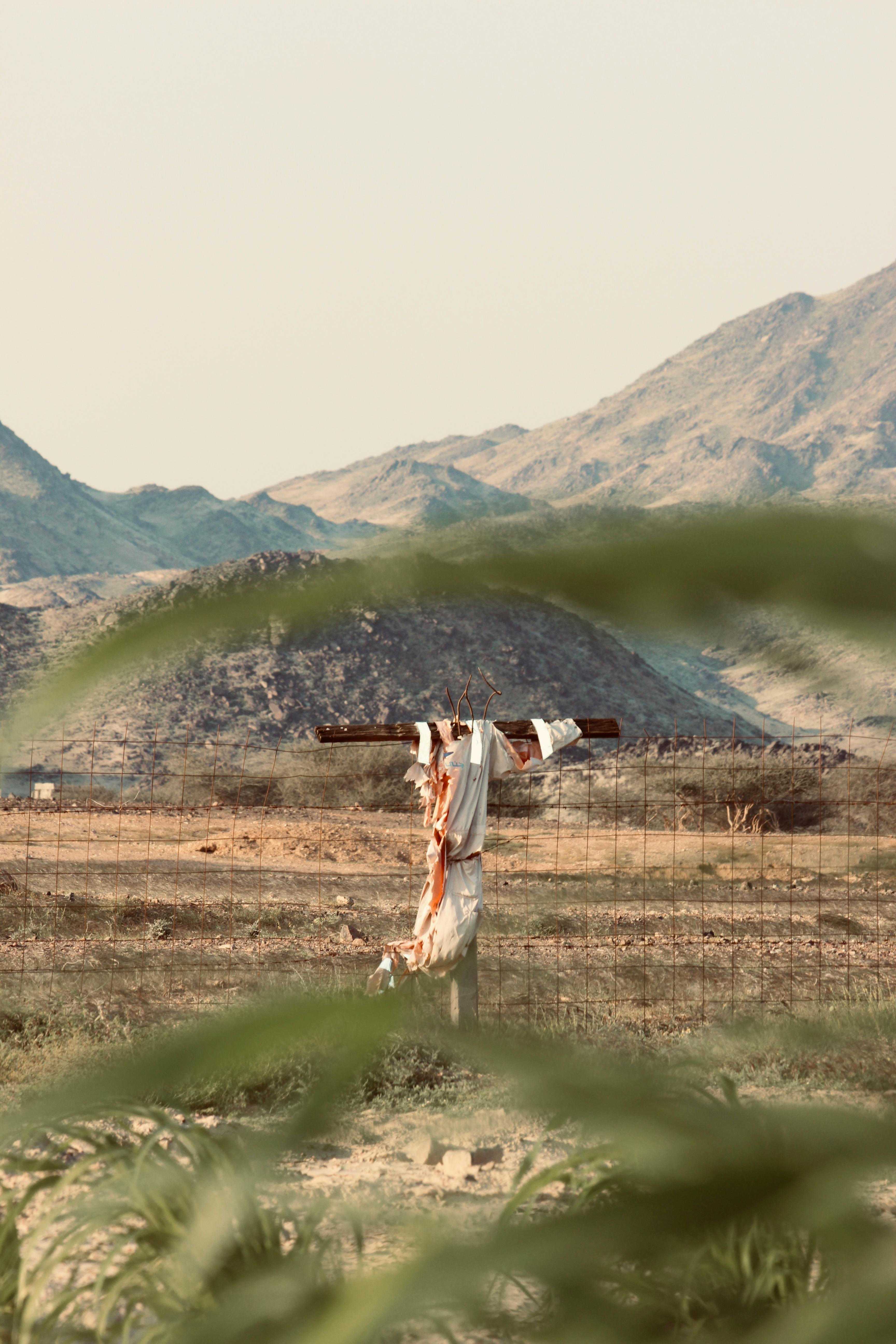 Scarecrow Photos, Download The BEST Free Scarecrow Stock Photos & HD Images