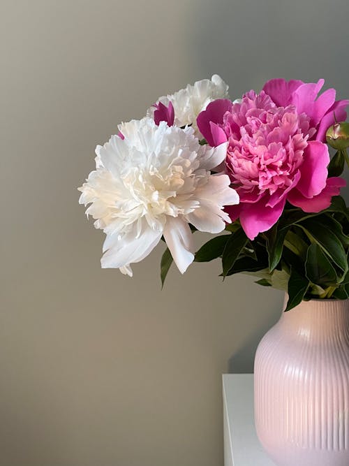 Flowers in Vase