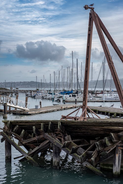 คลังภาพถ่ายฟรี ของ ท่าเทียบเรือ, ท่าเรือ, ยิงแนวตั้ง