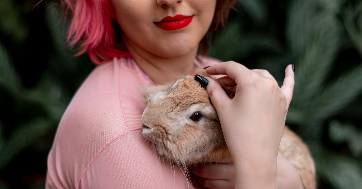 Woman Posing with Rabbit · Free Stock Photo