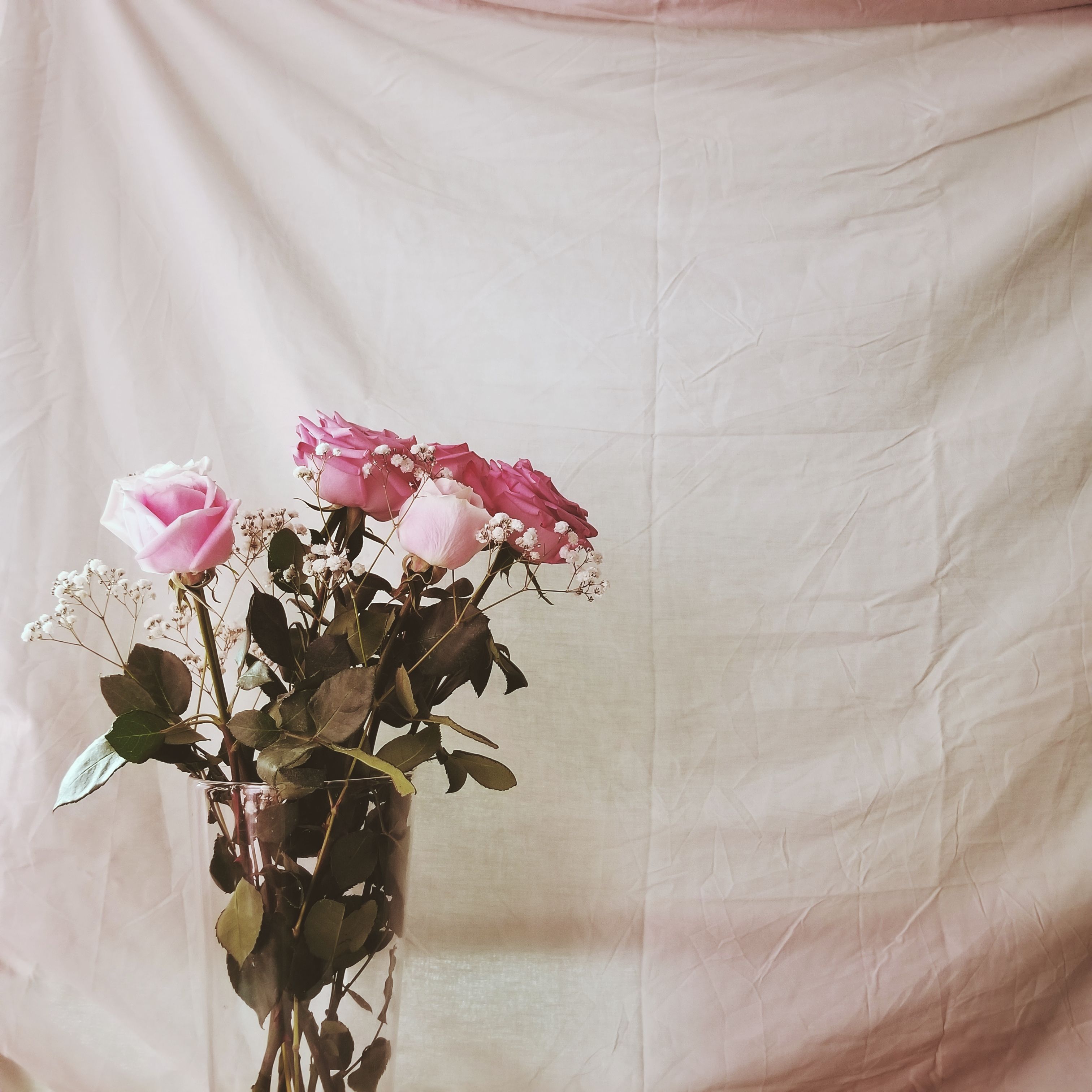 Marzipan cover art — photo by Enola James on Pexels