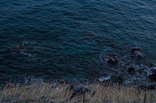 Immagine gratuita di mare, oceano, oceano profondo