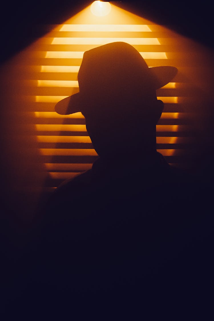 Silhouette Of Head In Hat In Light