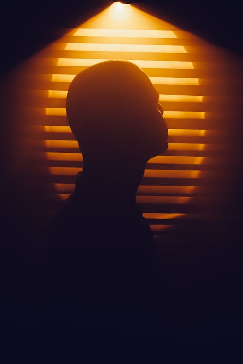 Silhouette of Man on Windows Shutters Background in Dark