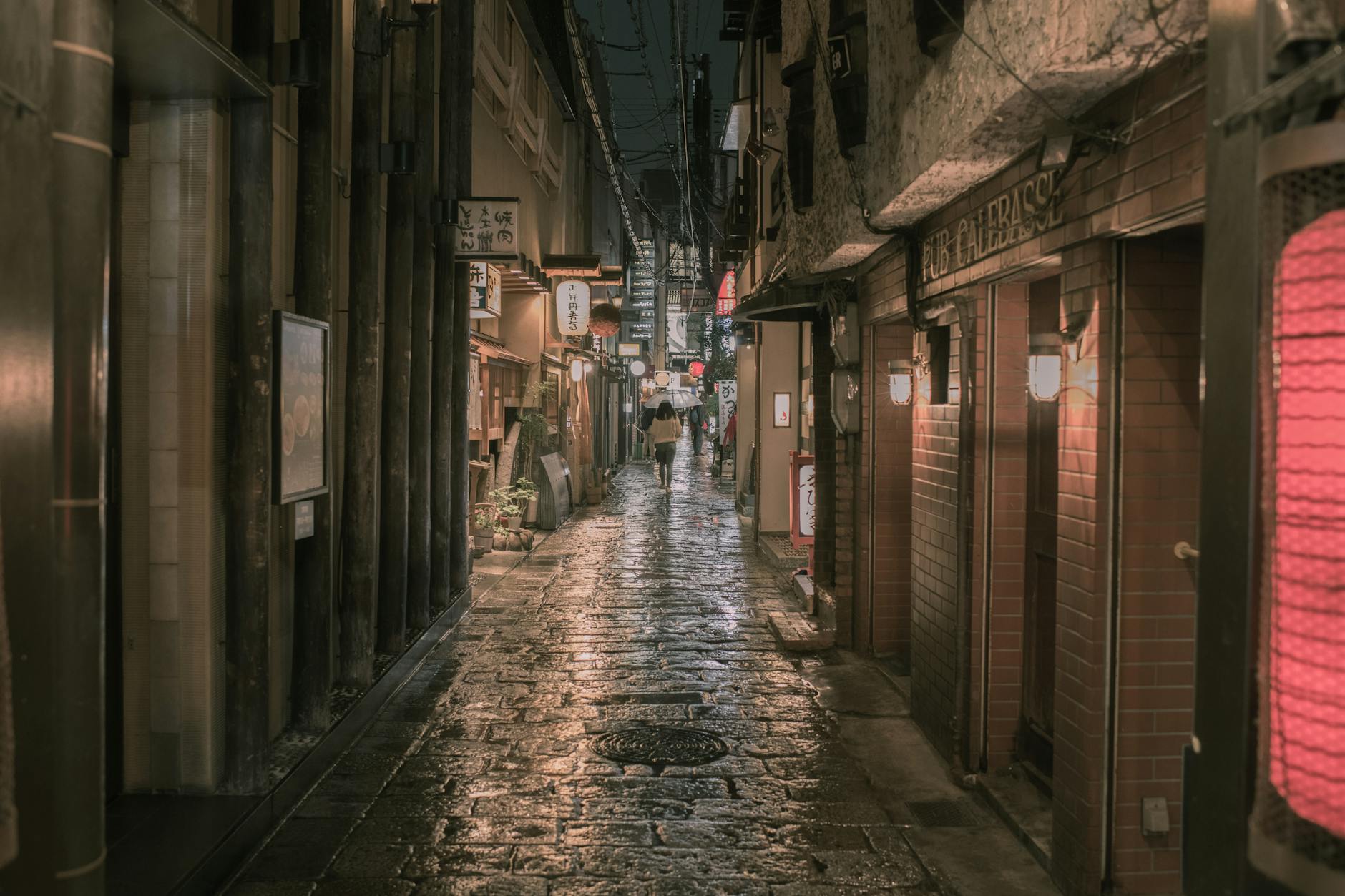 https://www.pexels.com/photo/person-walking-on-concrete-alleyway-at-night-t-1532767/