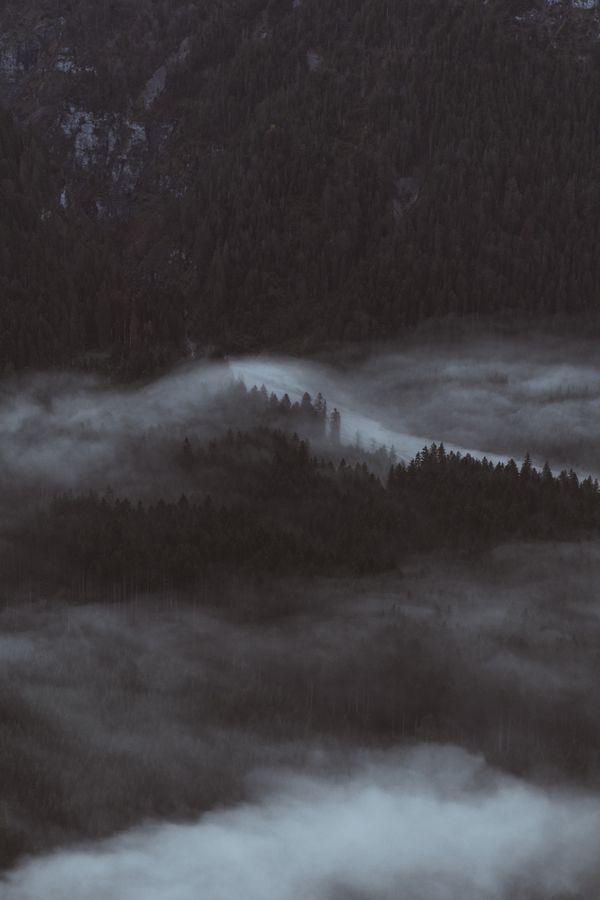 Mist drifting through a dim mountain forest — photo by Andreas Ebner on Pexels