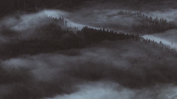Aerial view of a forest under fog at dusk — photo by Andreas Ebner on Pexels