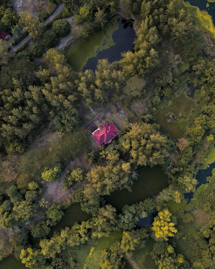 Top View Of A Lone House In The Countryside