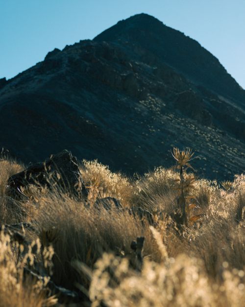 Free A stunning view of a rocky mountain peak surrounded by wild grasses and flora. Stock Photo
