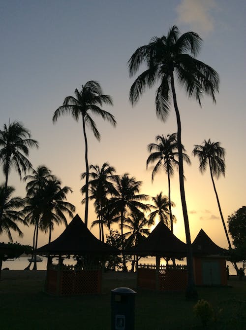 Free stock photo of beach, caribbean, sunset