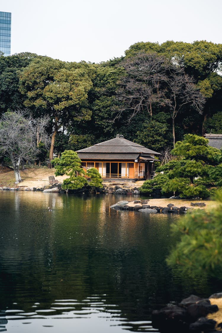 Traditional Building Near Lake And Green Park