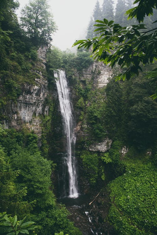 Waterfall in Forest