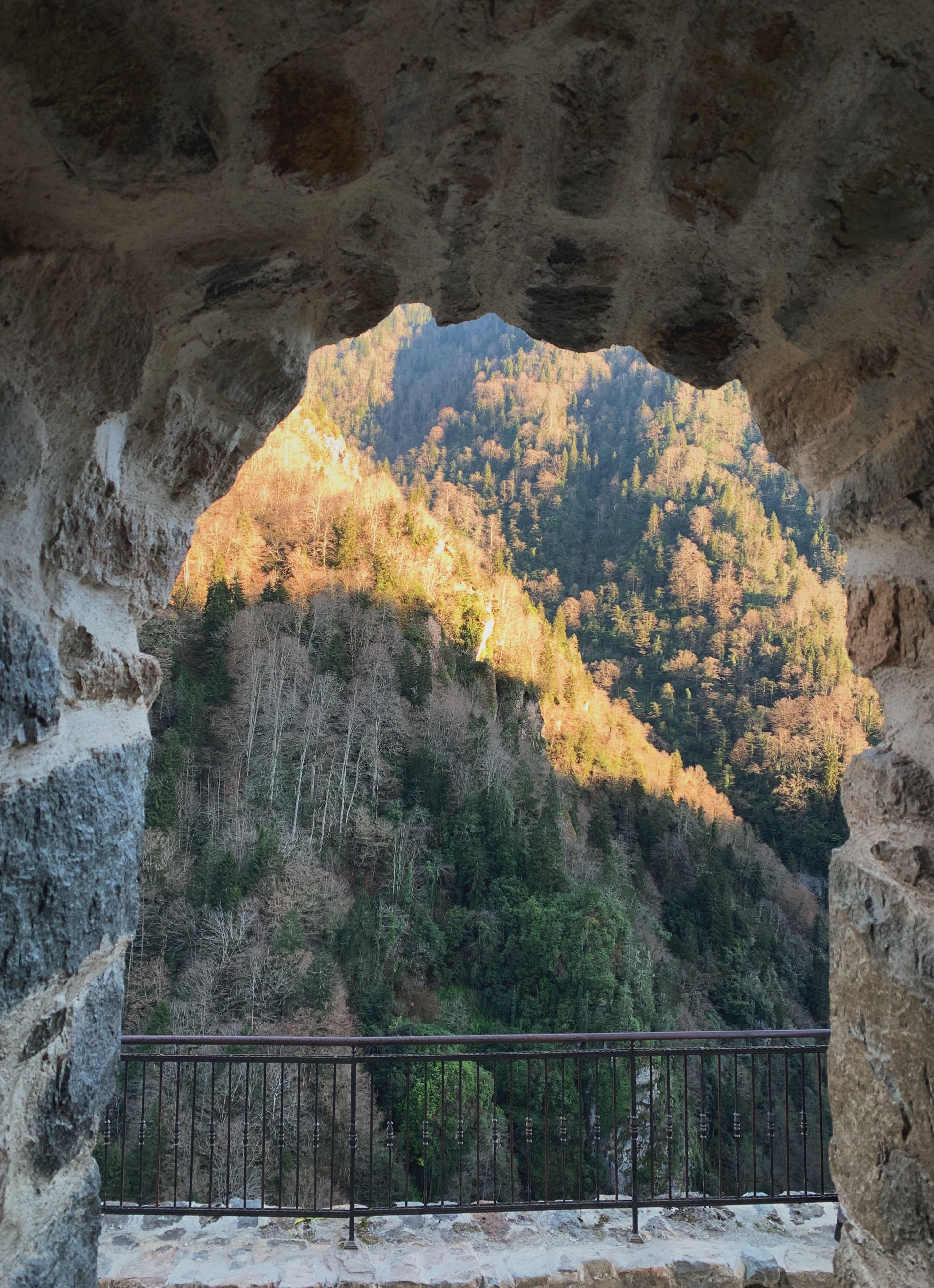 Szlachetne Rize Photos, Download The BEST Free Szlachetne Rize Stock ...