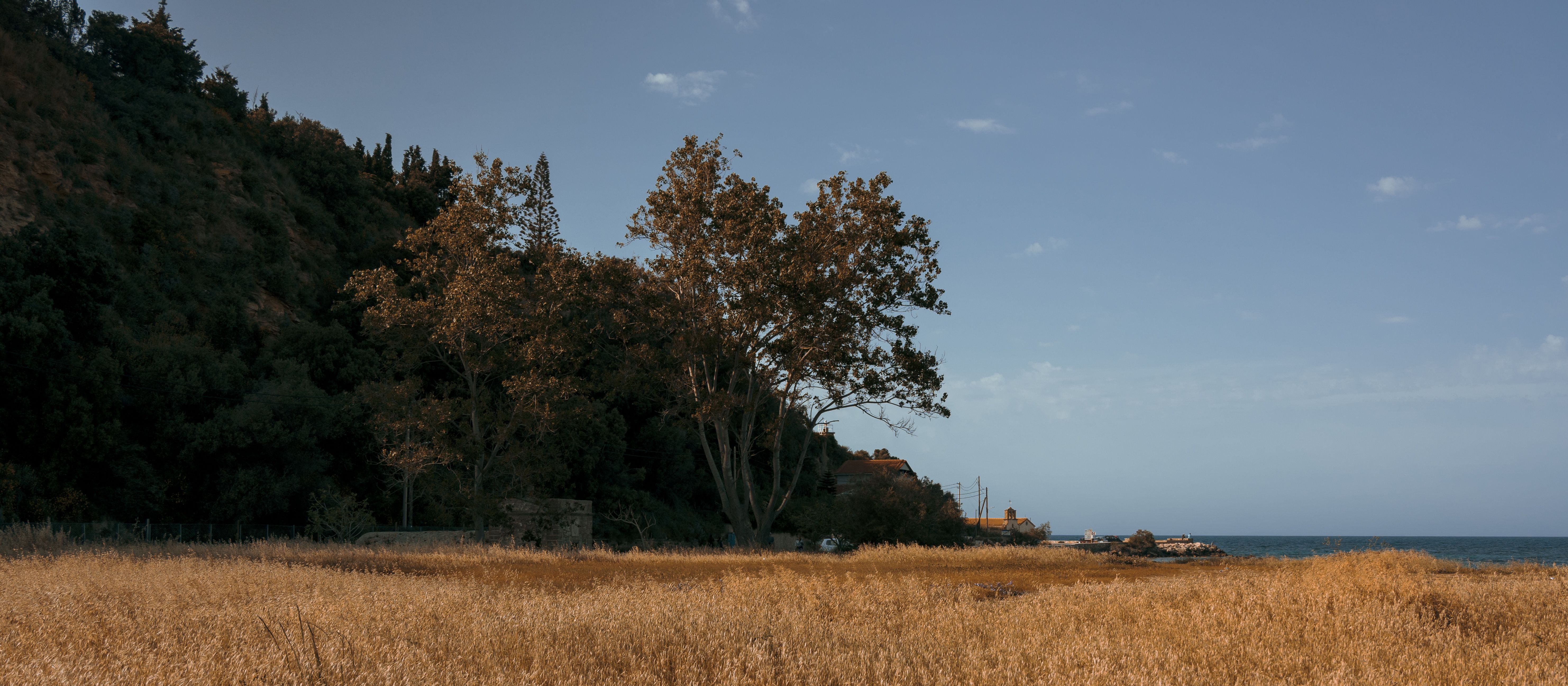 Northern Zakynthos · φωτογραφία περιοχής 3
