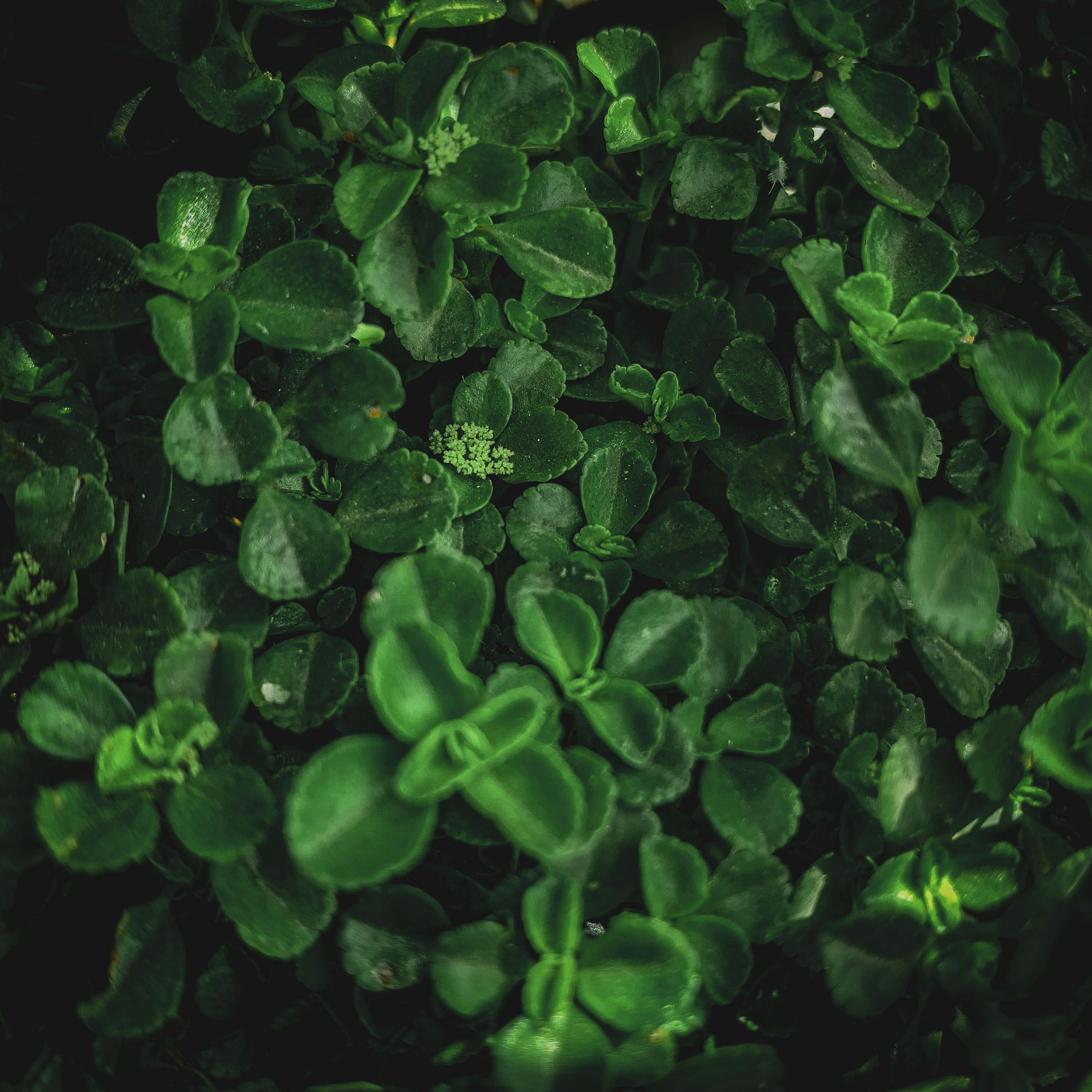 Peter Godfrey - Fotografía