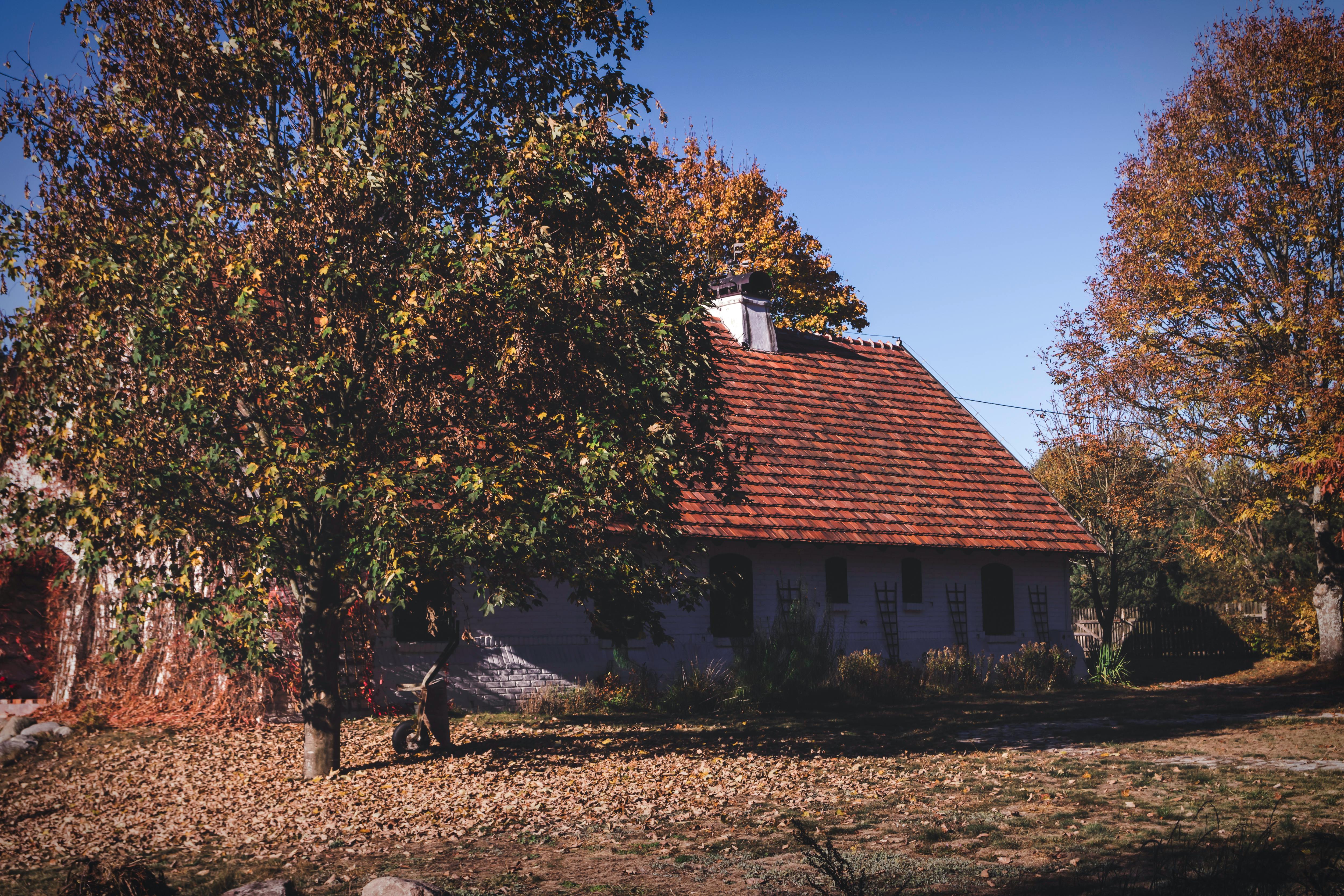 Inside Voysey House – the archival home of Sanderson Design Group — Photo by Dariusz Grosa on Pexels