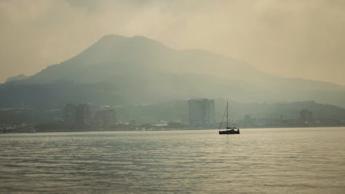 Безкоштовне стокове фото на тему «берег ріки, весло човна, вид на річку»