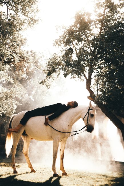 A man peacefully rests on a standing white horse in a sunlit forest setting.