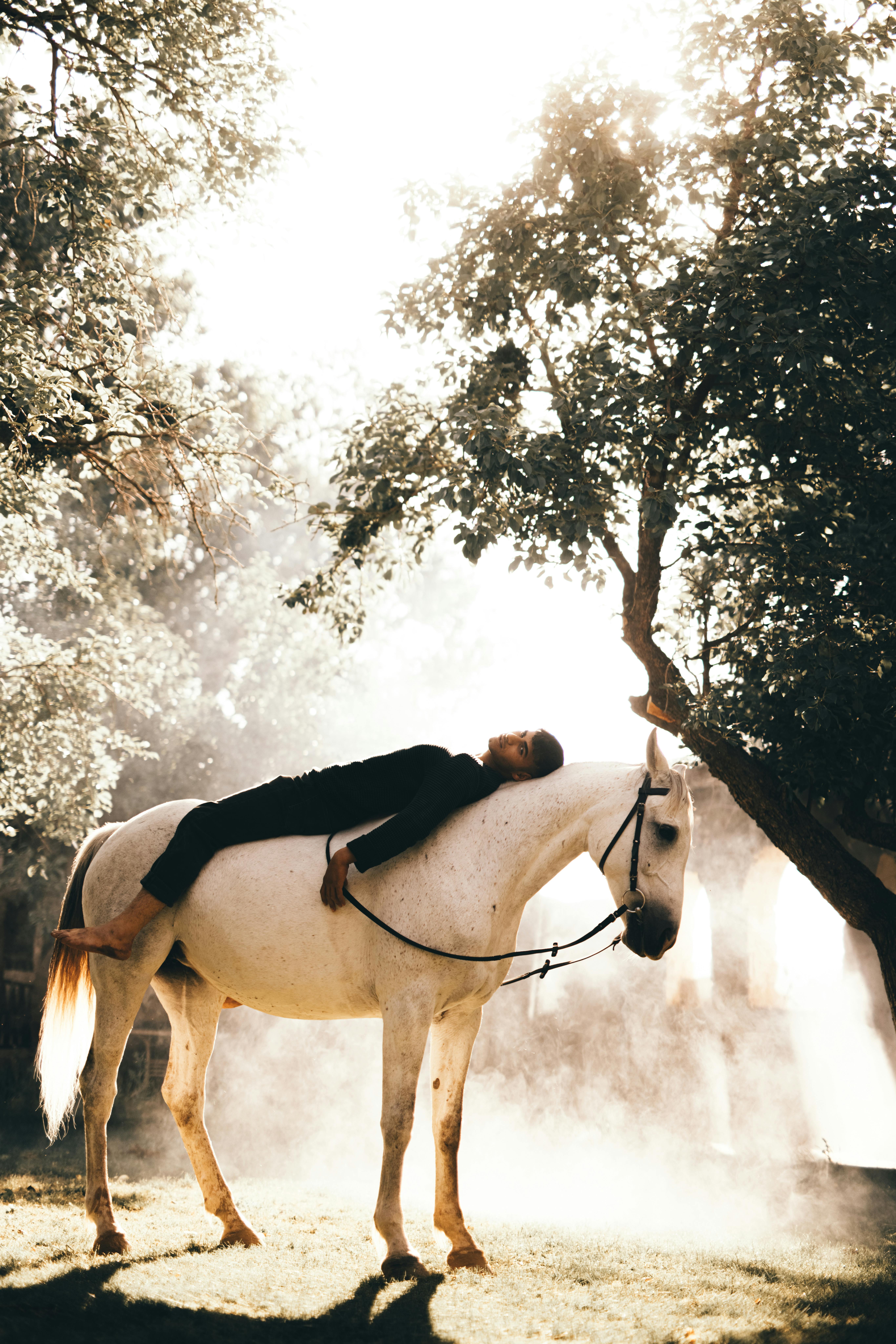 Ride with My Horses: An Adventure Awaits!, image size:5464x8192