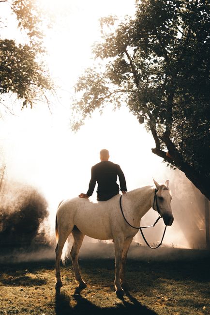Silhouette of a man on a white horse in a sunlit forest, capturing the serenity of nature.