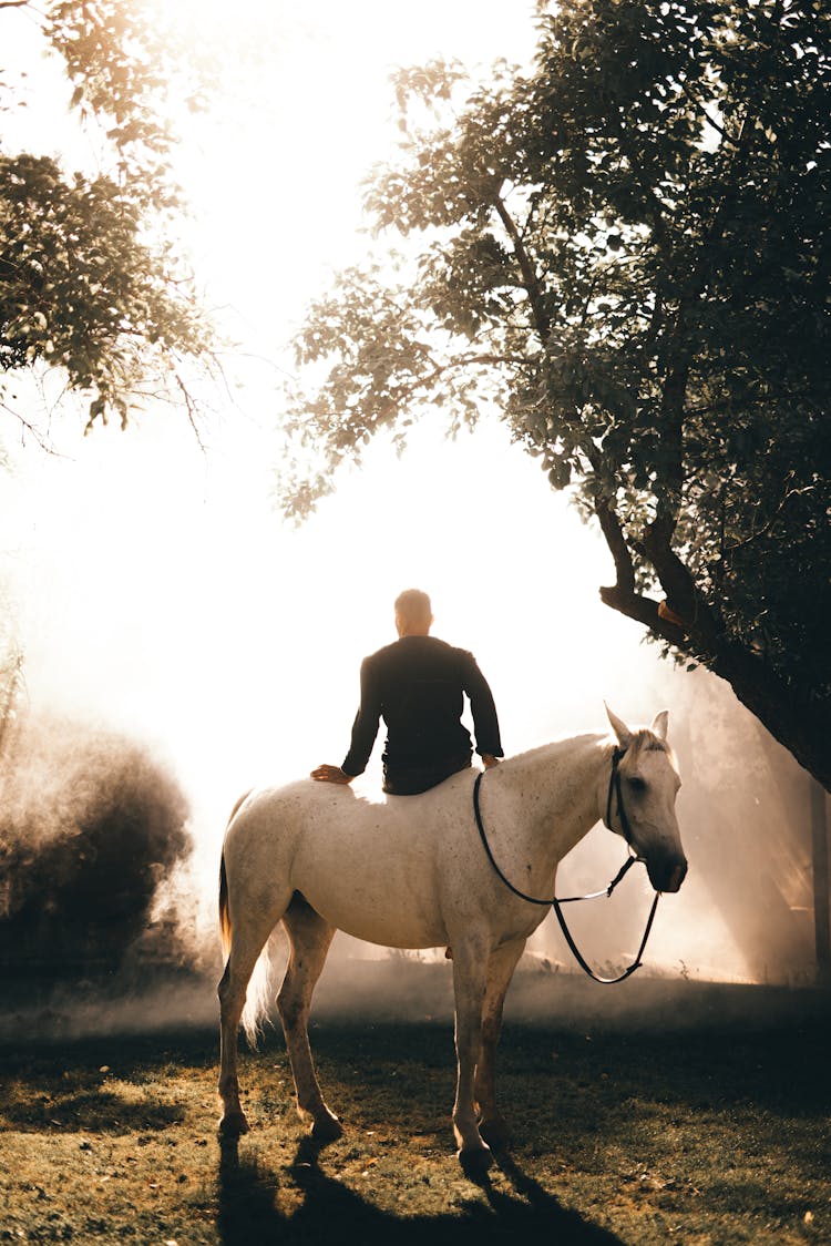 Sunrise Over Man On Horse