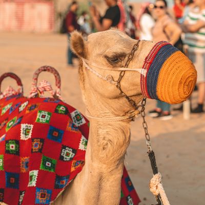 Sadu weaving