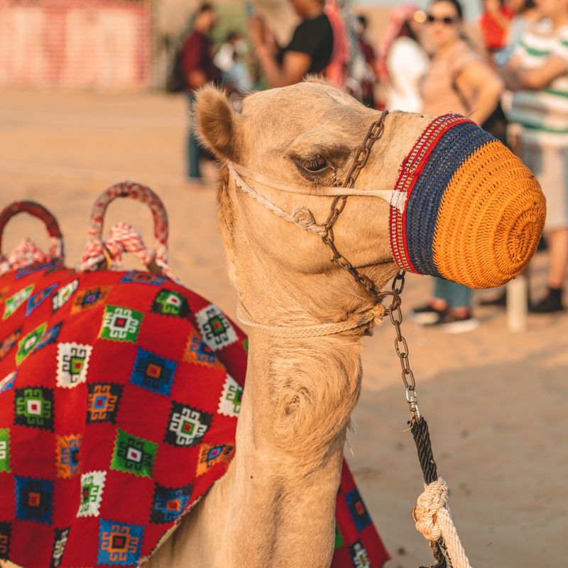 Sadu weaving