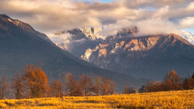 Golden autumn trees with a misty mountain range backdrop create a breathtaking landscape.