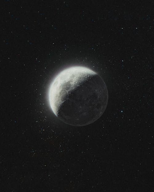 Free Moon in the Night Sky  Stock Photo