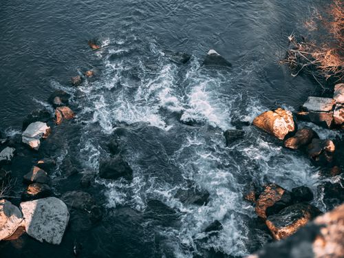 Free A stunning view of river rapids flowing over rocks with surrounding vegetation. Stock Photo