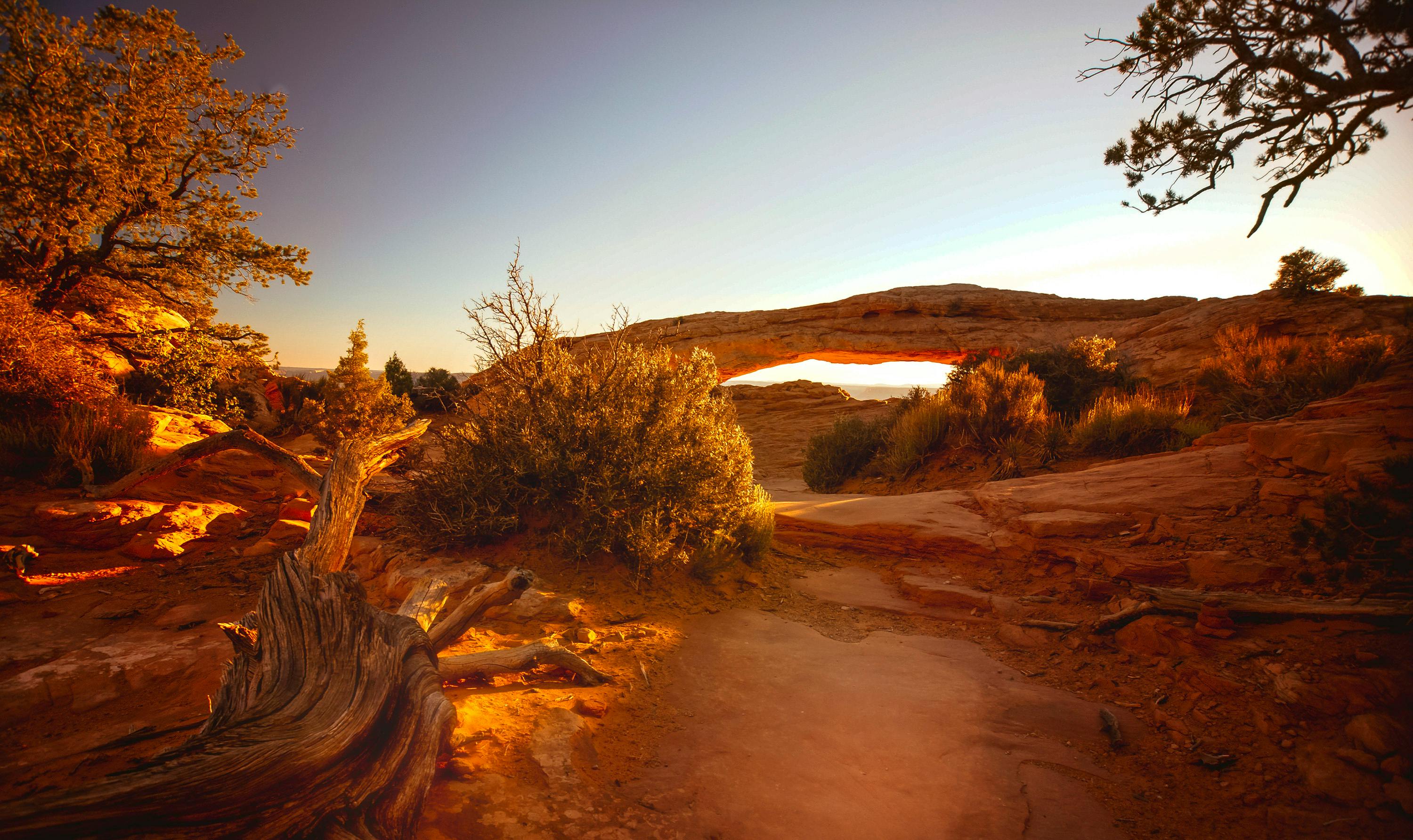 金色的日落映照在崎岖的天然沙漠拱门上，色彩鲜艳