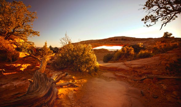 金色的日落映照在崎岖的天然沙漠拱门上，色彩鲜艳