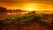 日落时分，湖泊宁静，植被繁茂，色彩浓郁