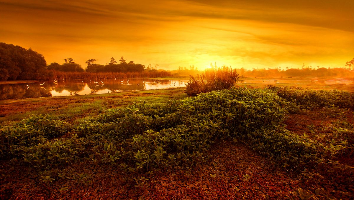 A tranquil prairie lake at sunset with golden light on still water and grass along the shoreline