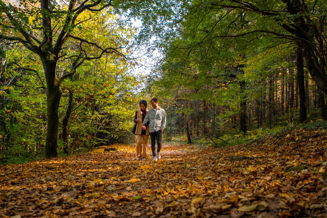 A Couple Standing on the Forest · Free Stock Photo