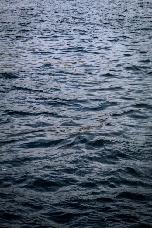 Бесплатное стоковое фото с вертикальный выстрел, вода, волнистый